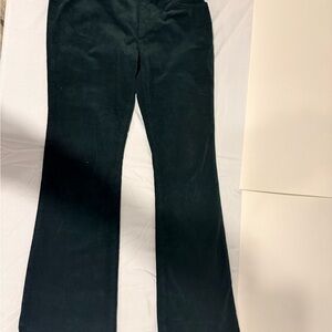 Banana Republic Juniper Green Flare Jeans
